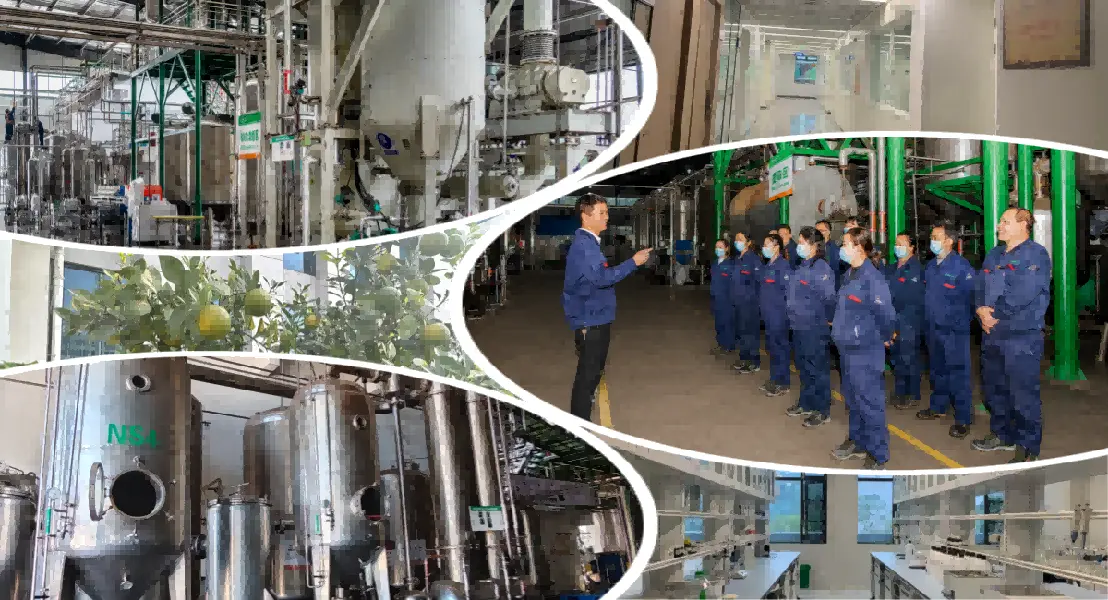 Manufacturing Advantages Manufacturing Advantages