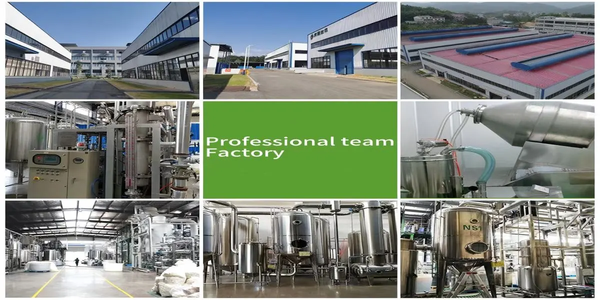 Production Process and Manufacturing Advantages