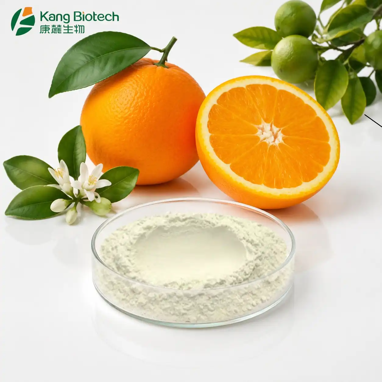 Glucosyl Hesperidin Bulk Supplier: What Buyers Should Check Glucosyl Hesperidin Bulk Supplier: What Buyers Should Check