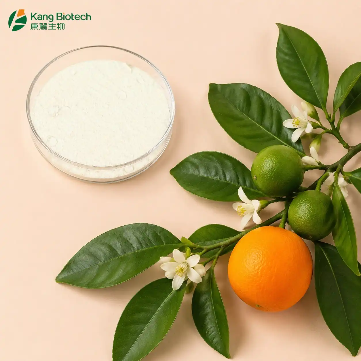 Hesperetin Antioxidant Activity